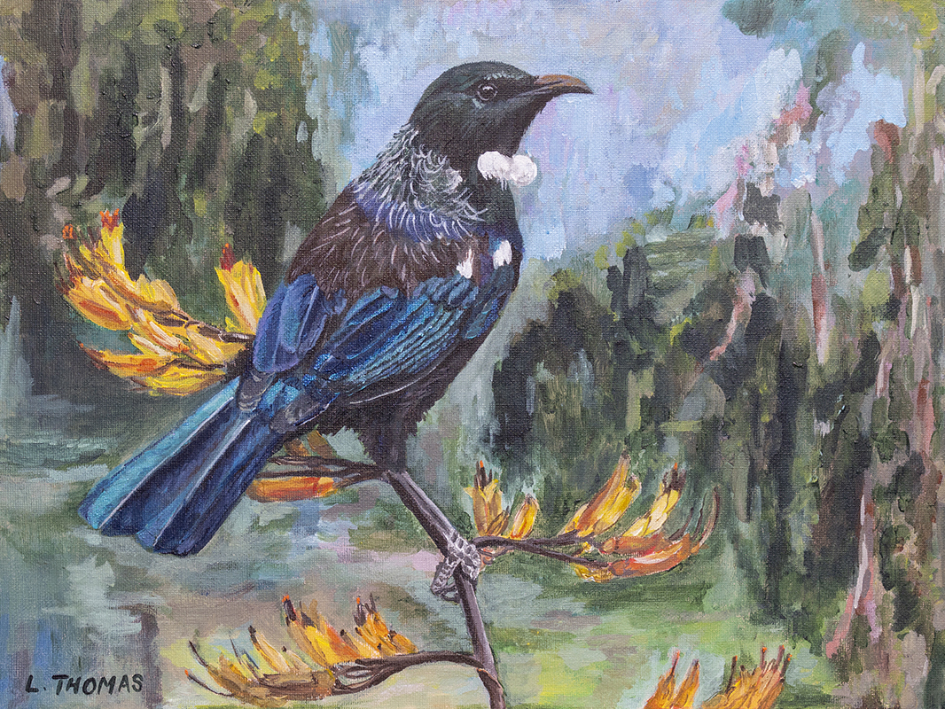 Tui by the Hutt River